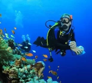 Cancun Scuba diving tours