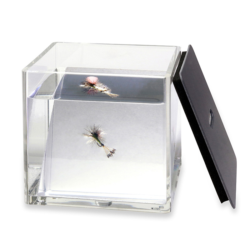 Fish Eye - catalog product image