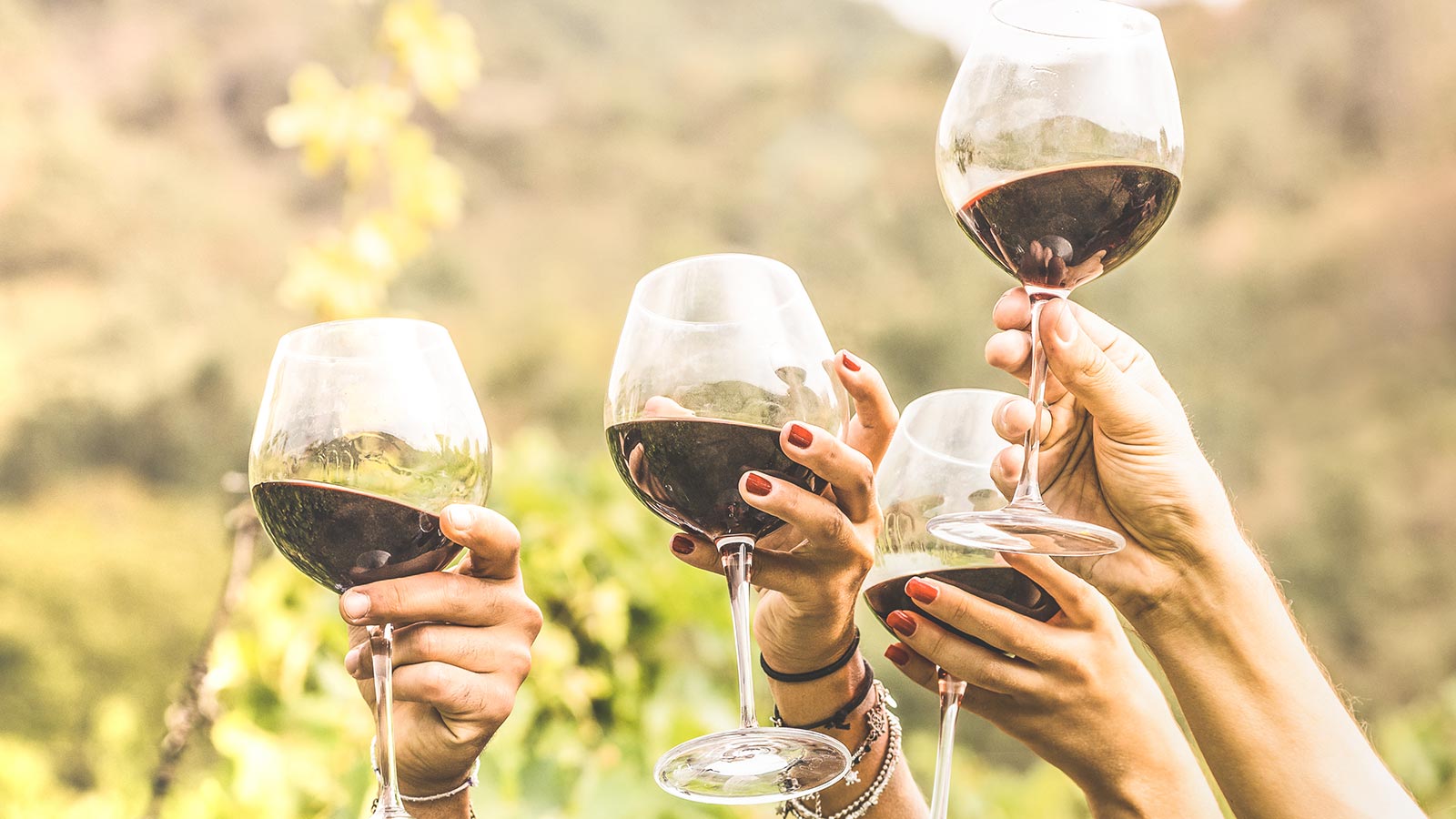 New Year in Napa Valley