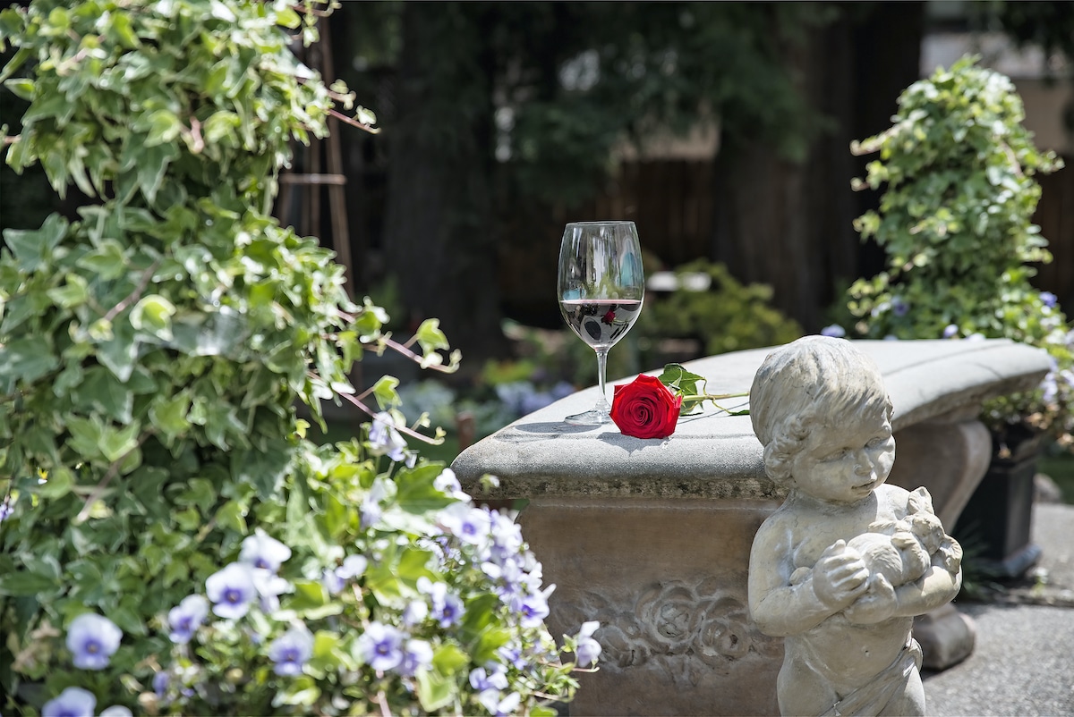 Napa harvest events
