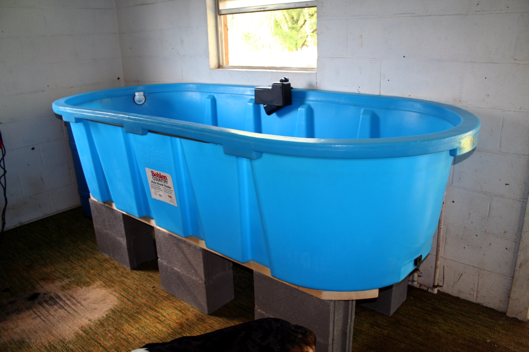 Rubbermaid Stock Tank 300 Gallon Pool Fotodtp
