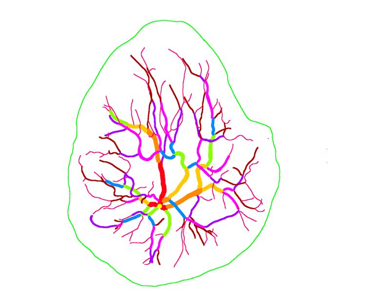 Github Mabulnaga Automatic Placenta Segmentation Source Code And - 4K Landscape Textures for Desktop