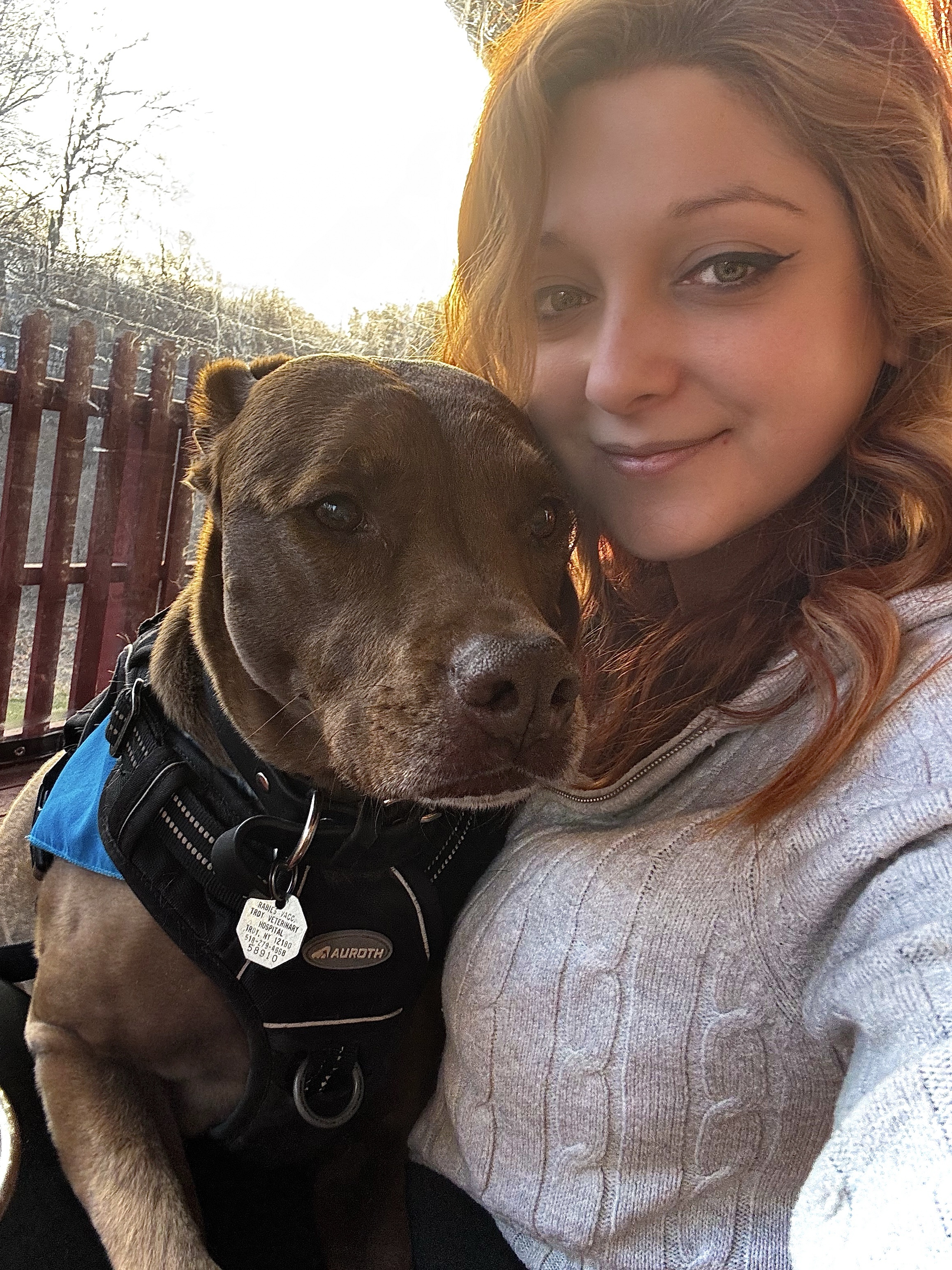 Canine Cabin photo 19