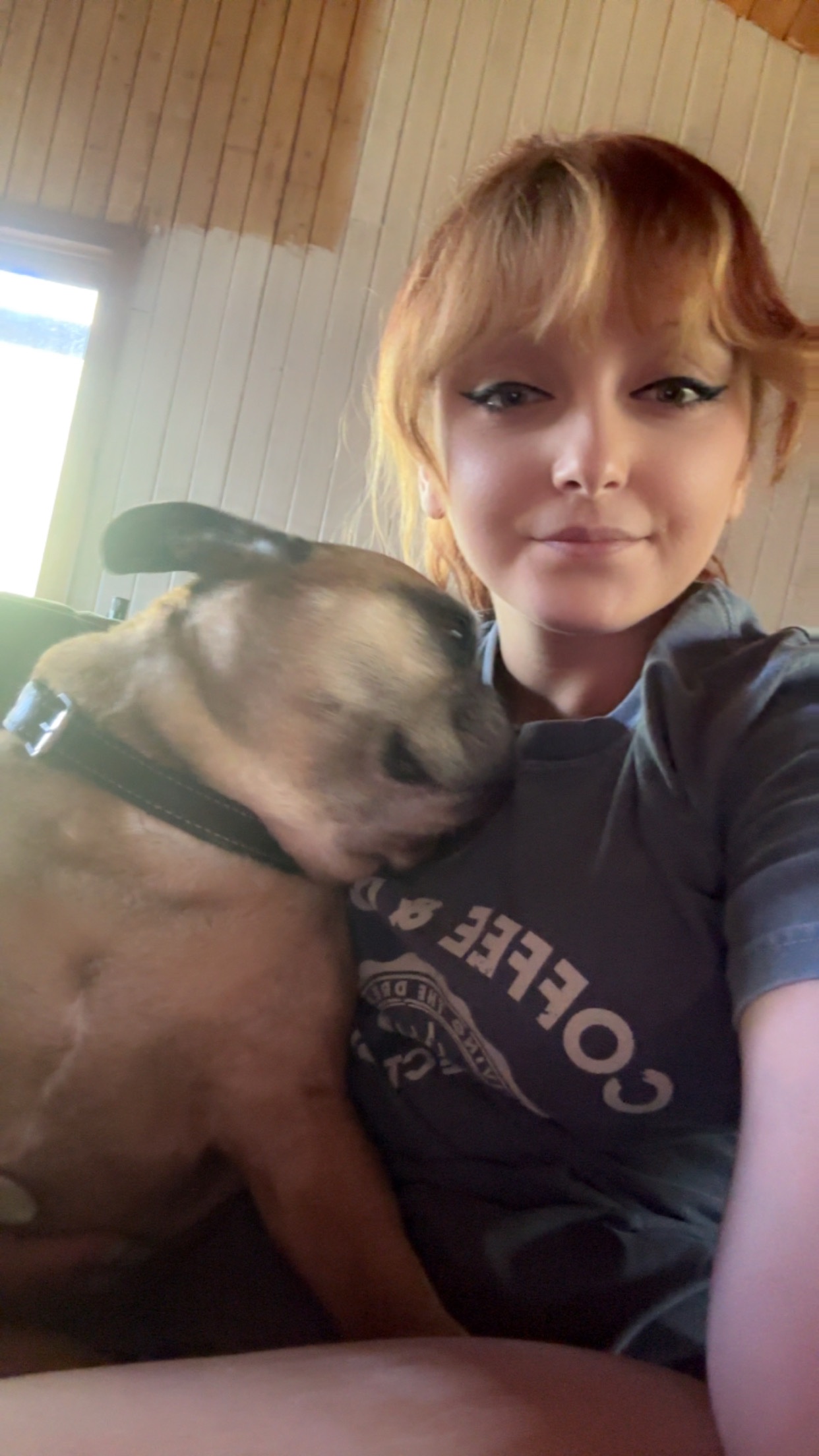 Canine Cabin photo 15