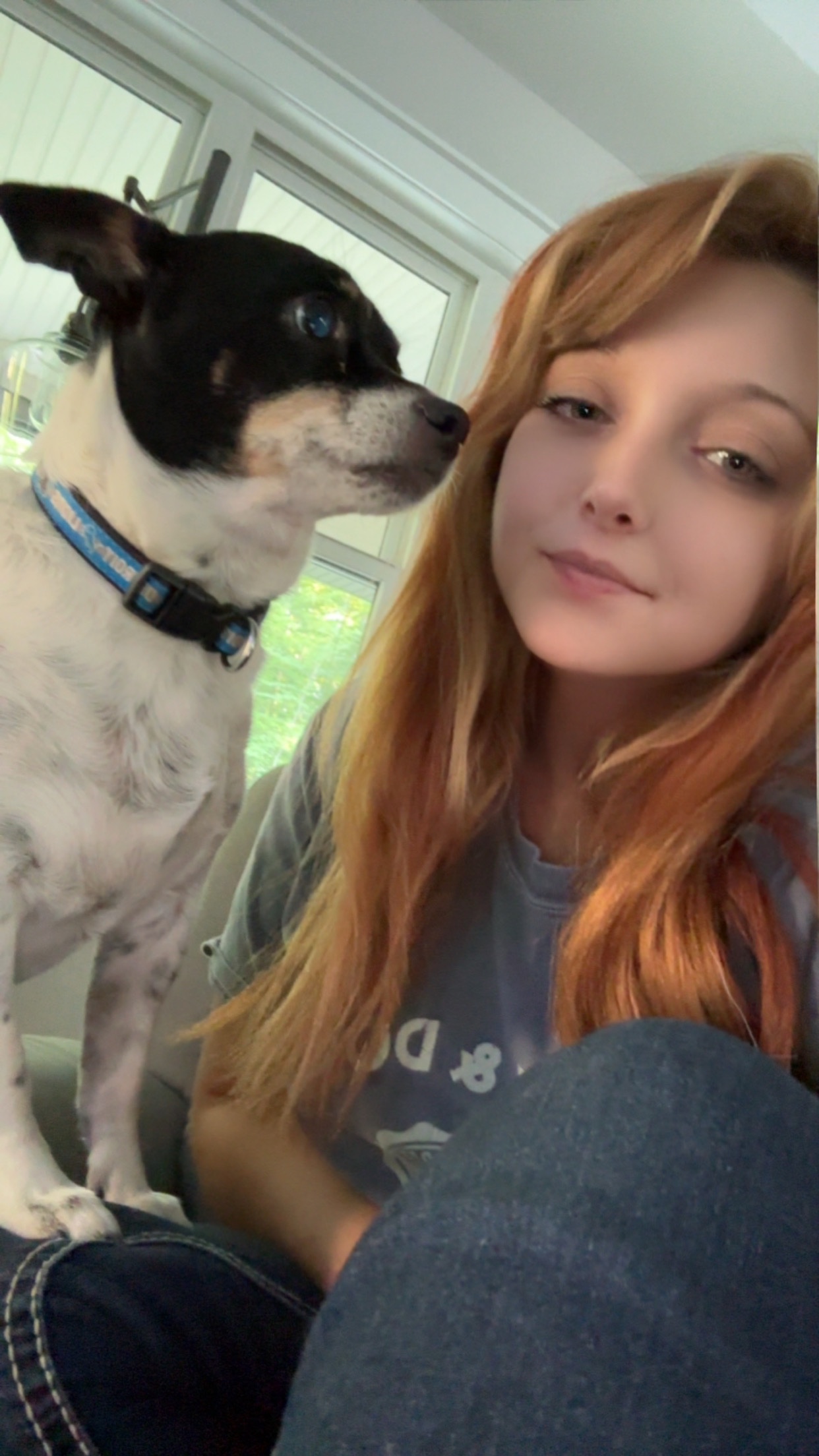 Canine Cabin photo 13
