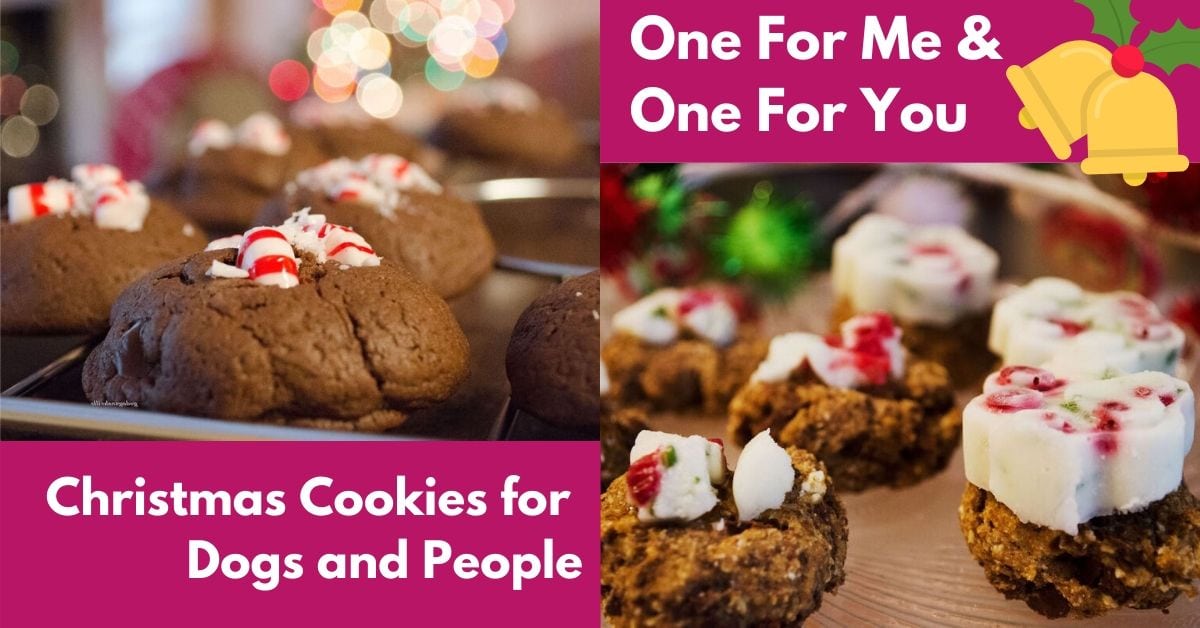 christmas dog cookies