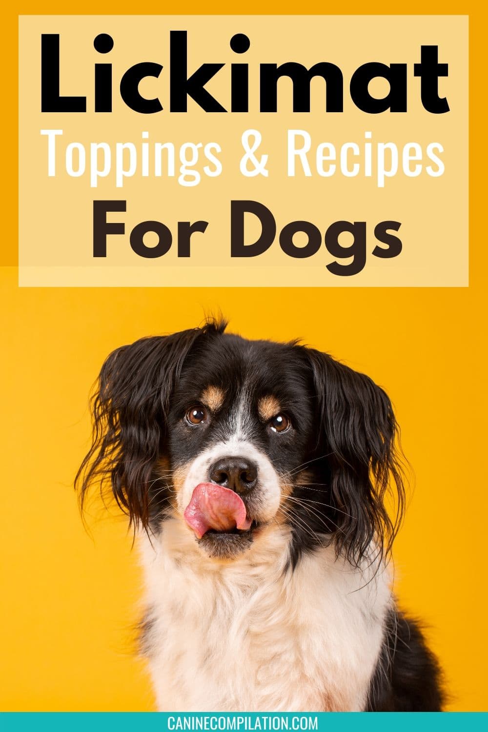 licki mats for dogs ideas