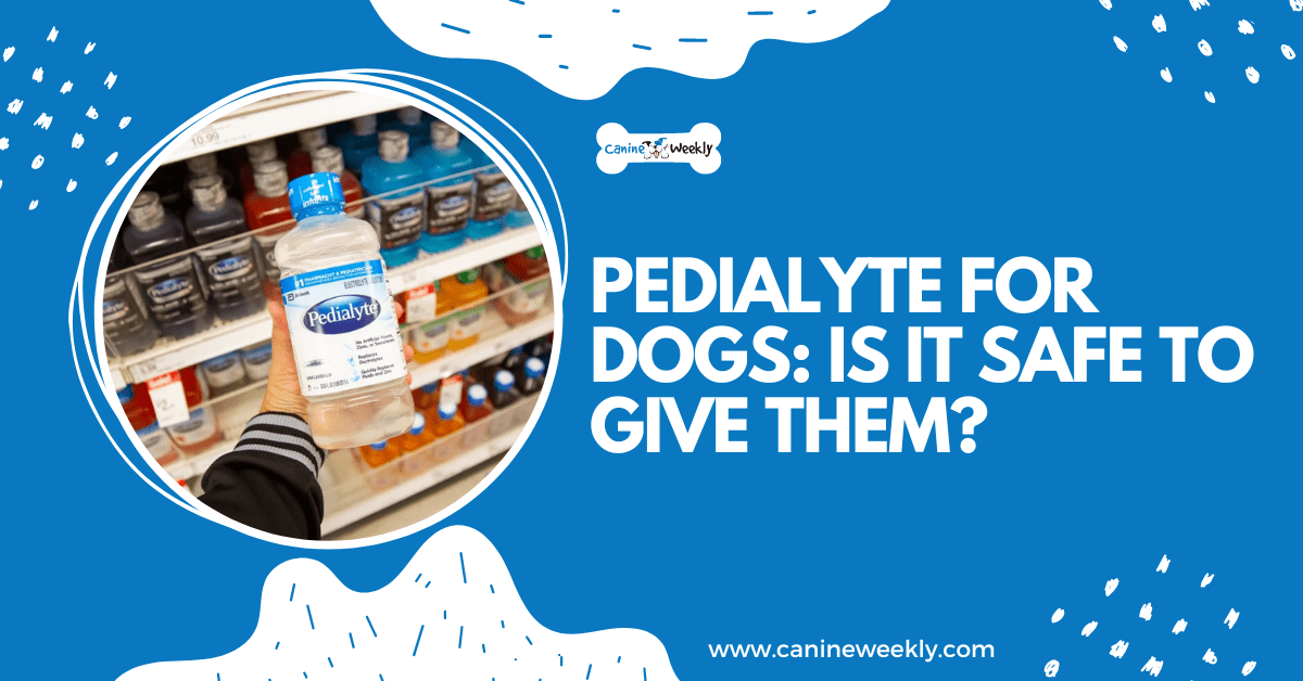 Pedialyte For Dogs: Is it Safe to Give Them? (2025)
