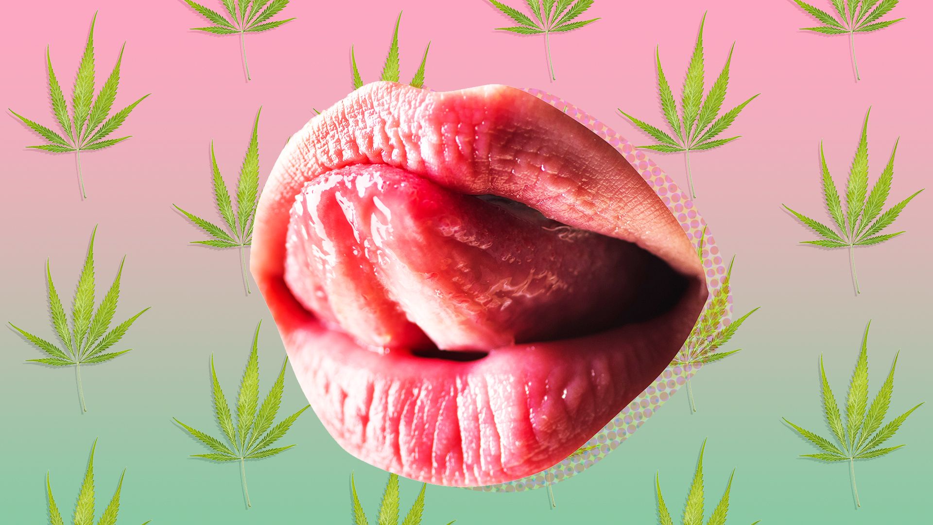 Going Down Dry - Cannabis and Oral Sex