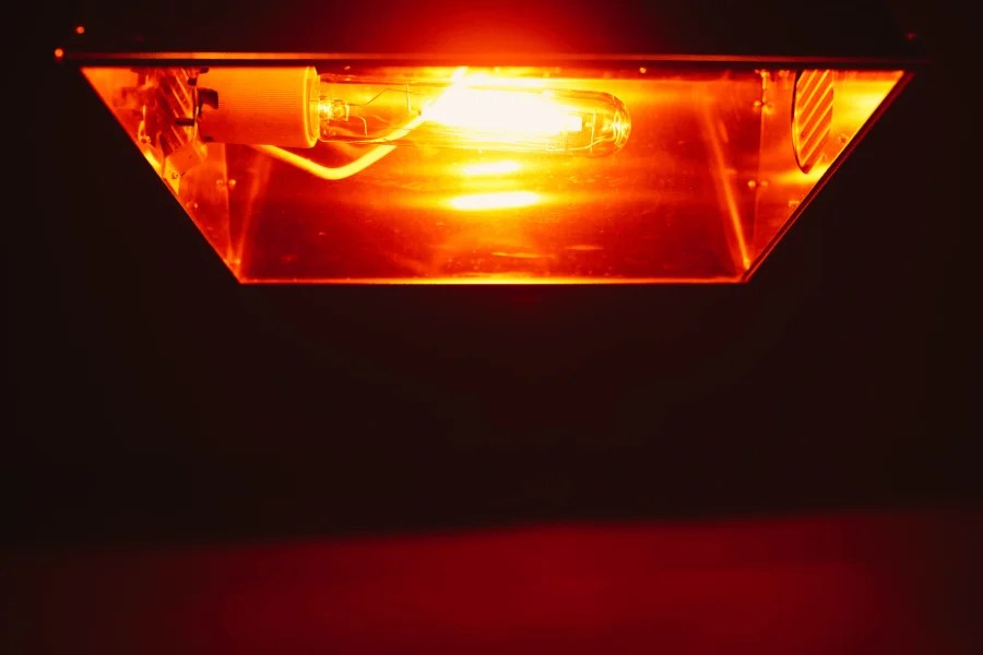 hps lights for growing cannabis