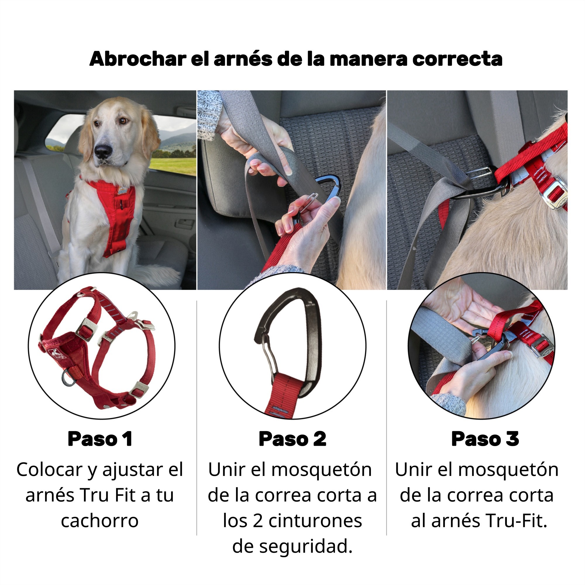 Tru-Fit Dog Car Harness| Enhanced Strength - Image 10