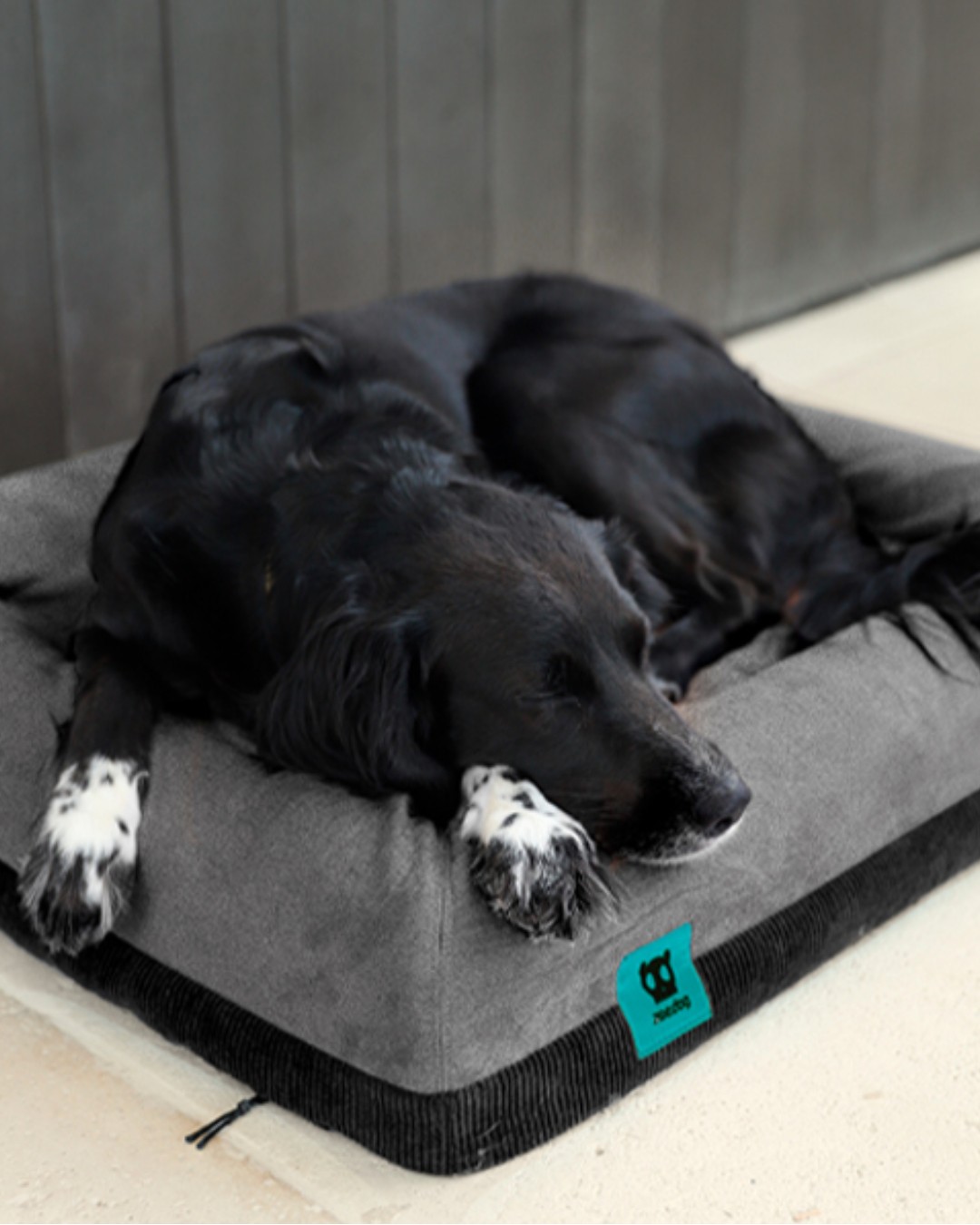 ZeeBed cama para perro ZeeDog