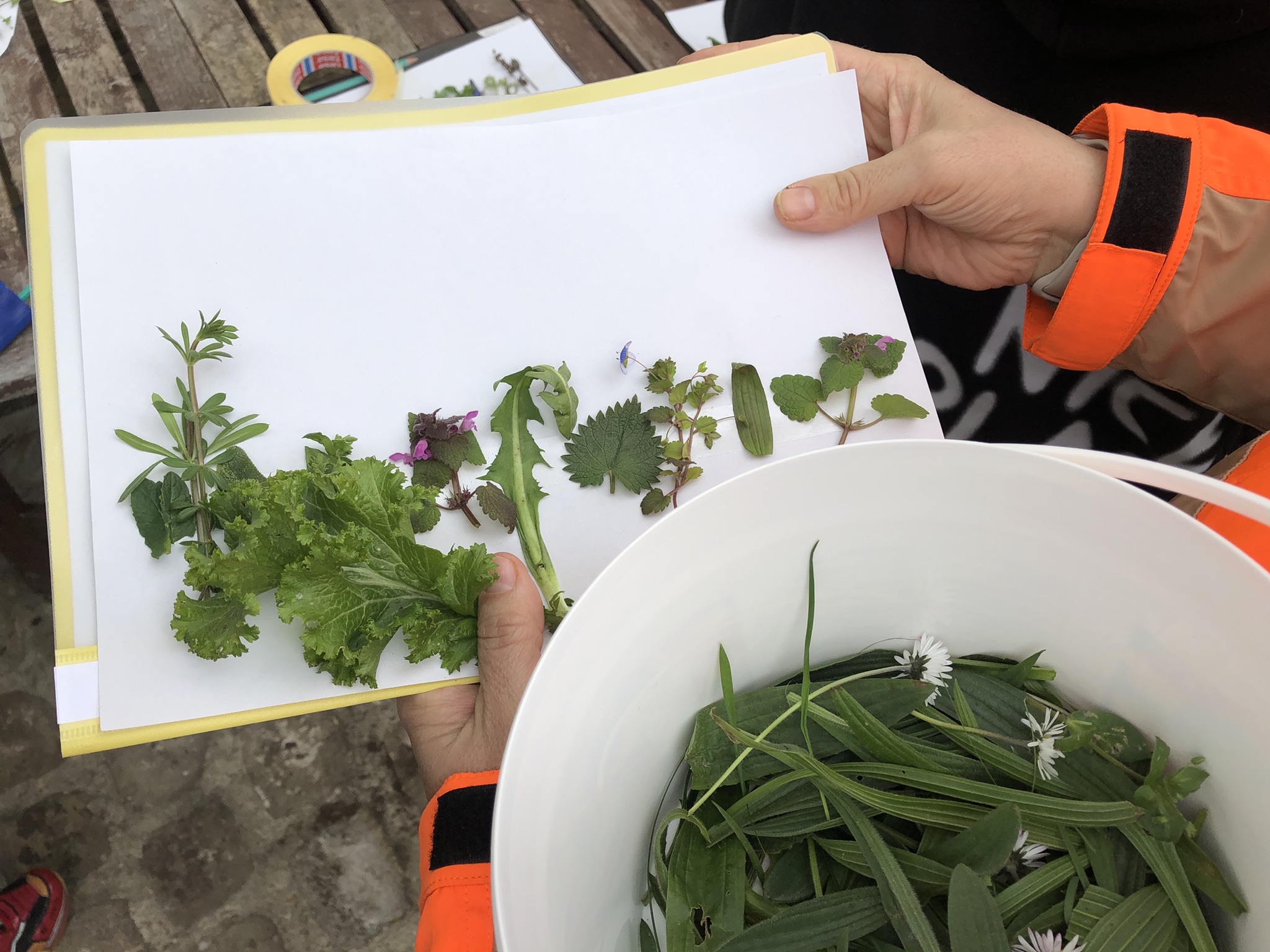 23/03/23 – Atelier : Herboristerie – Retour en images