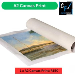 A2 Canvas Print