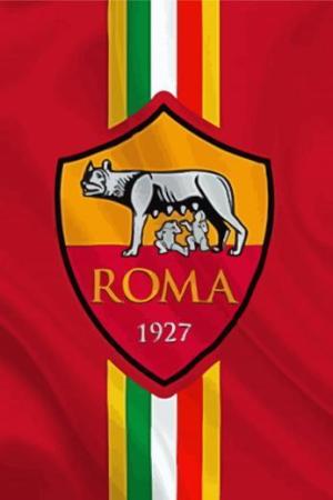 As Roma Emblem Paint By Numbers.jpeg