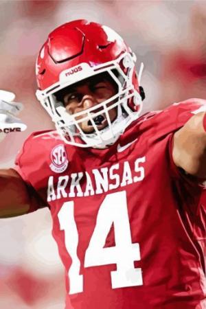 Arkansas Razorbacks Player Paint By Numbers.jpeg