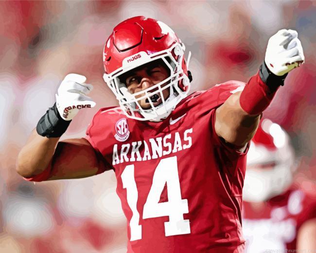 Arkansas Razorbacks Player Paint By Numbers.jpeg