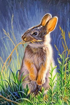 Bunny Rabbit Paint By Numbers.jpeg
