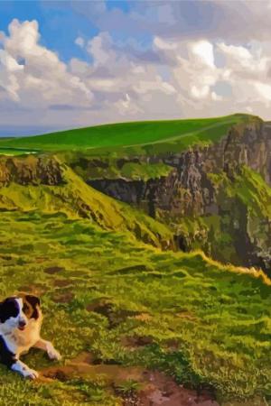 Dog In Cliffs Paint By Numbers.jpeg