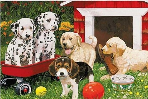 Dogs In Backyard Paint By Numbers.jpeg