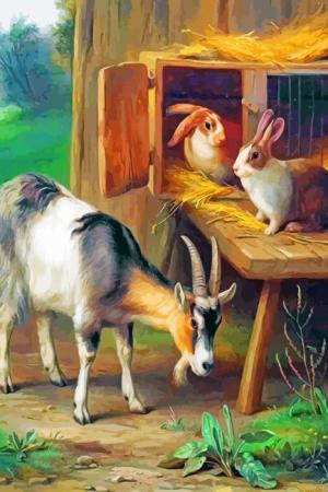 Goat And Rabbits Paint By Numbers.jpeg