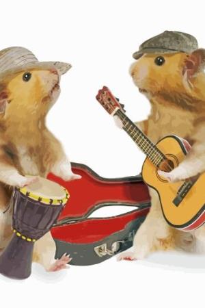 Hamsters Playing Musical Instruments Paint By Numbers.jpeg