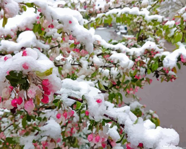 Ice In Spring Flowering Tree Painting by numbers