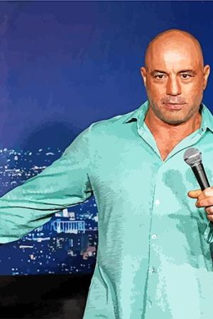 Joe Rogan Paint By Numbers.jpeg