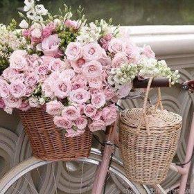 Pink Roses In Bike Paint By Numbers.jpeg