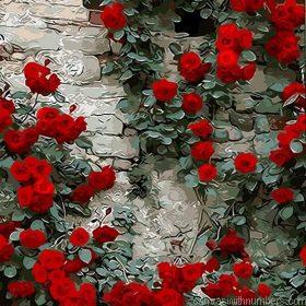 Roses In Red Paint By Numbers