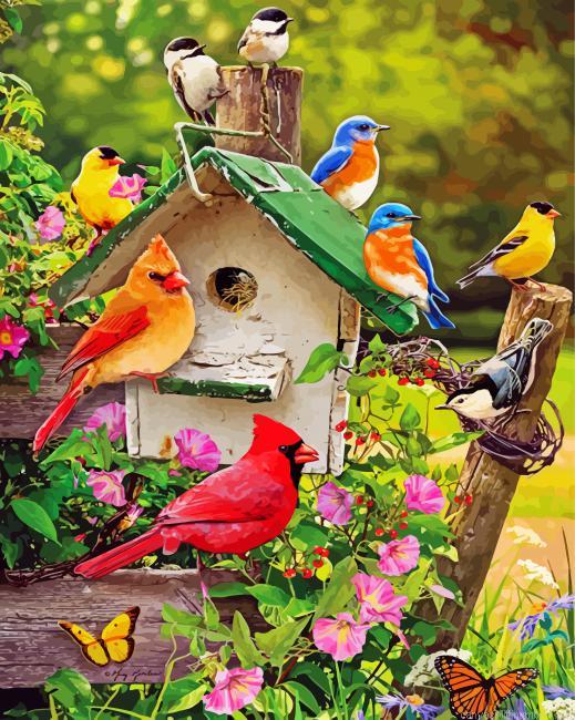 Spring Birds Paint By Numbers
