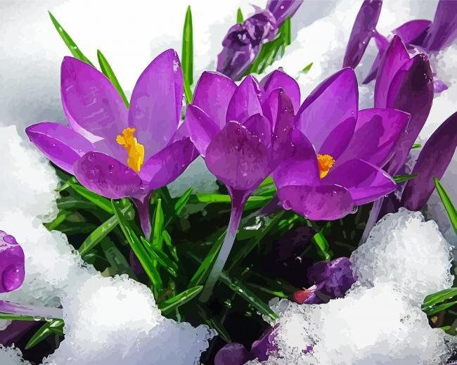 Spring Flower In Snow Paint By Numbers.jpeg
