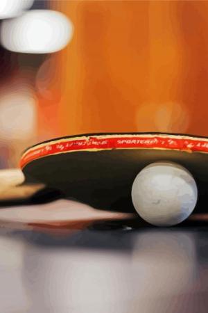 Table Tennis Racket And Ball Paint By Numbers.jpeg