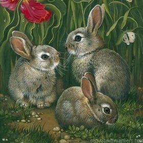 Three Grey Rabbits Paint By Numbers.jpeg