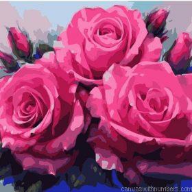 Three Pink Roses Paint By Numbers.jpeg