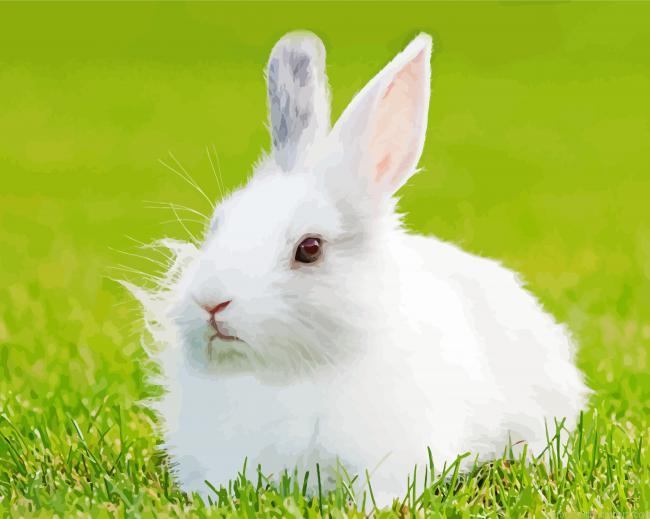 White Small Rabbit Paint By Numbers.jpeg