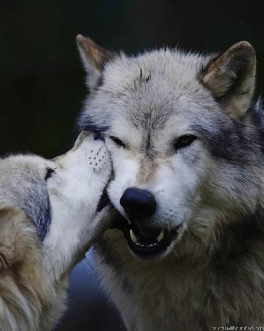 Wolves In Love NEW Paint By Numbers