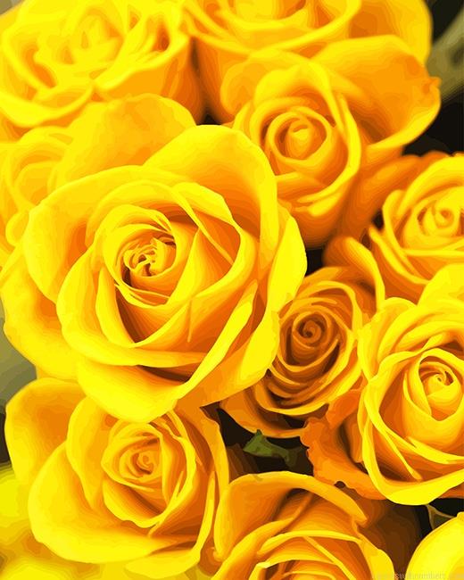 Yellow Roses Paint By Numbers.jpeg