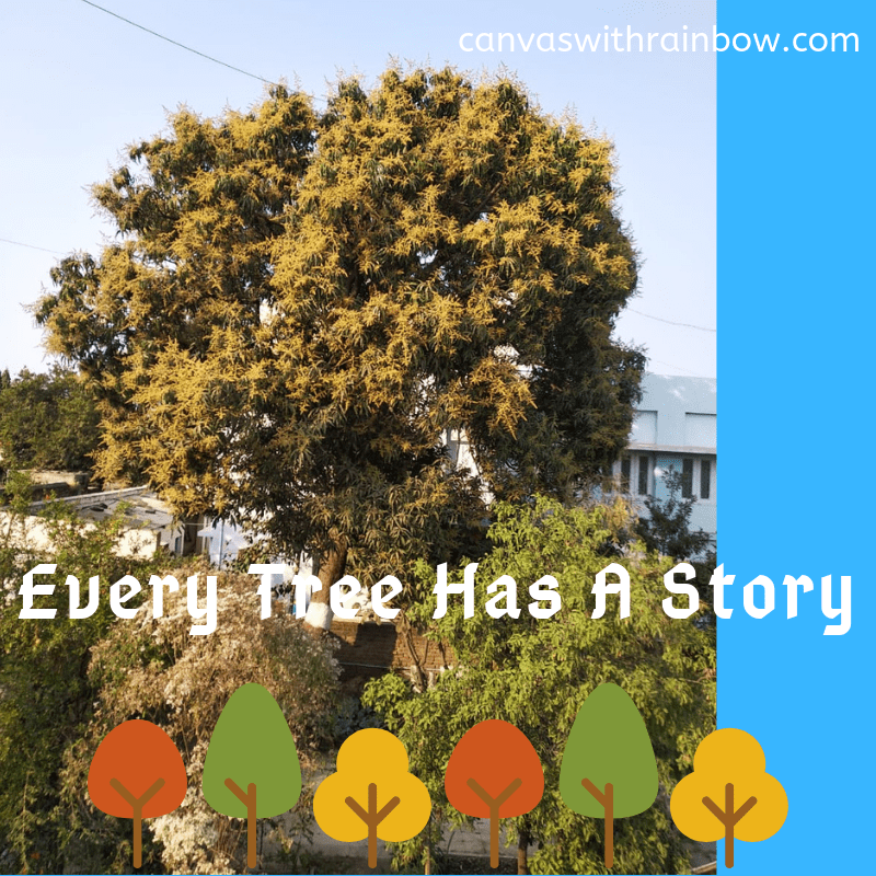 Every Tree Has A Story – CanvasWithRainbow