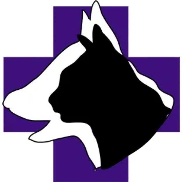 companion animal hospital