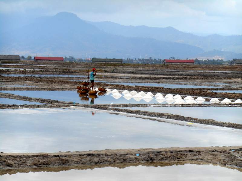 Il faut racler le fond du marais et faire des petits monticules