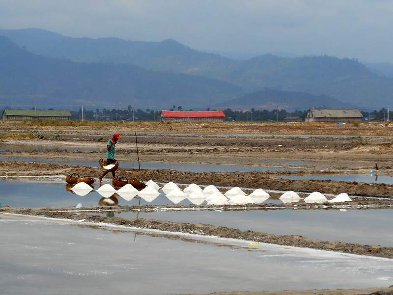 On remplit les paniers