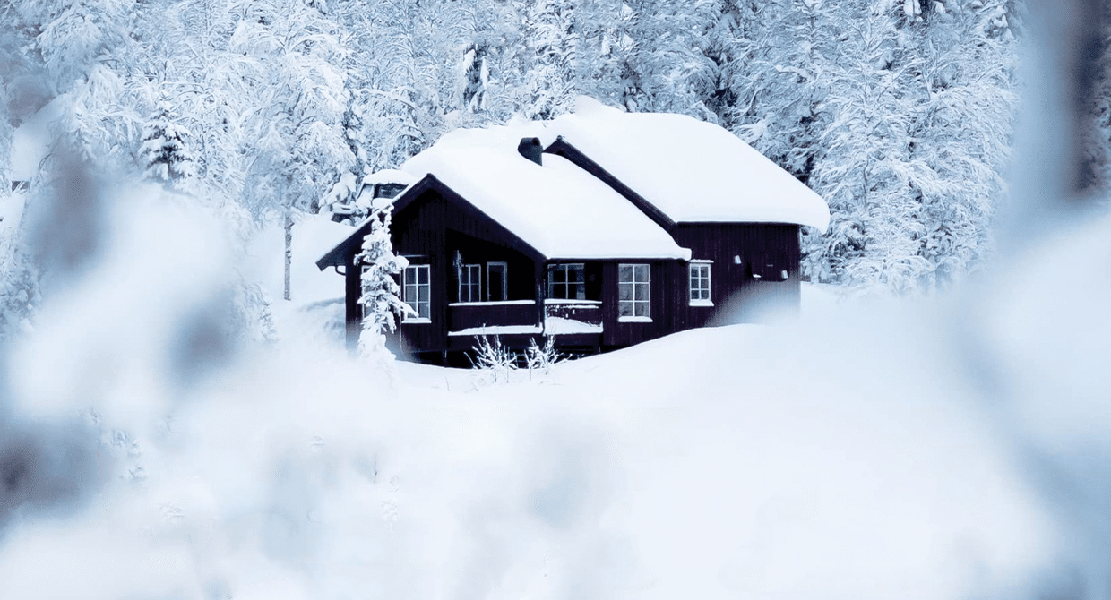 Dead of Winter