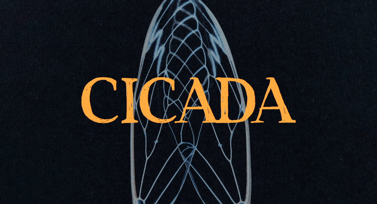 Cicada
