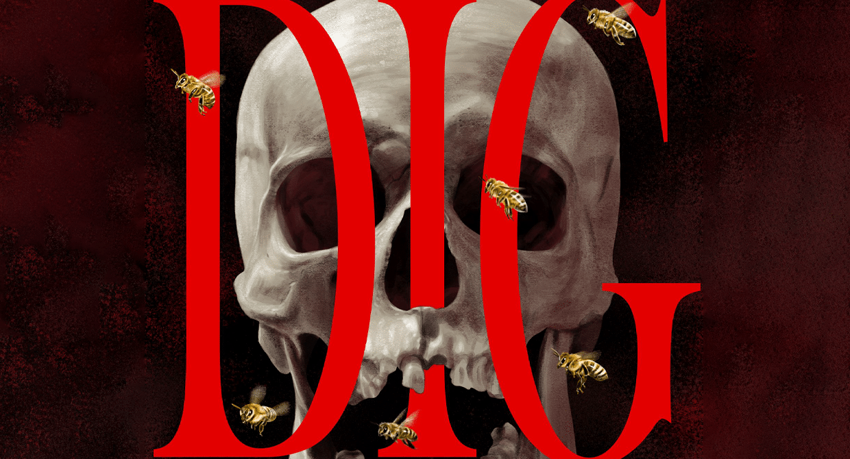 Dig