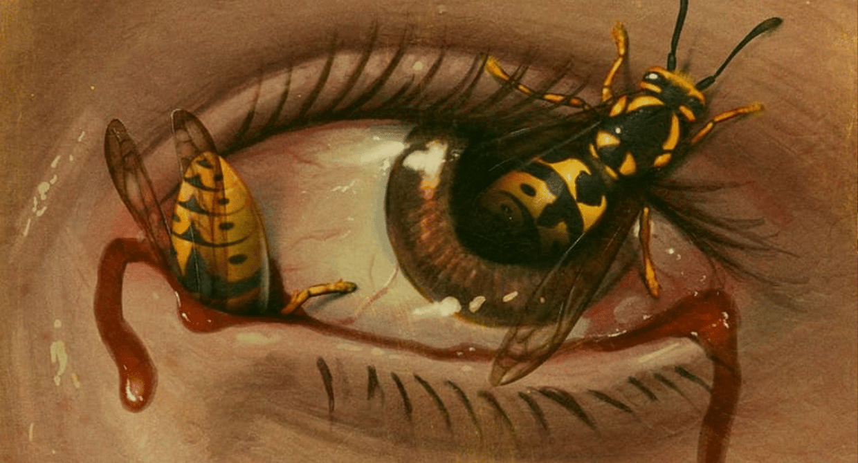 Meat Bees
