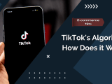 Tiktok S Algorithm How Does It Work Capforge