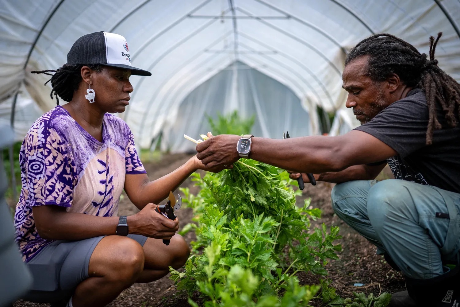 After Cyclospora Outbreak, Local Black Farms See Rise in Support