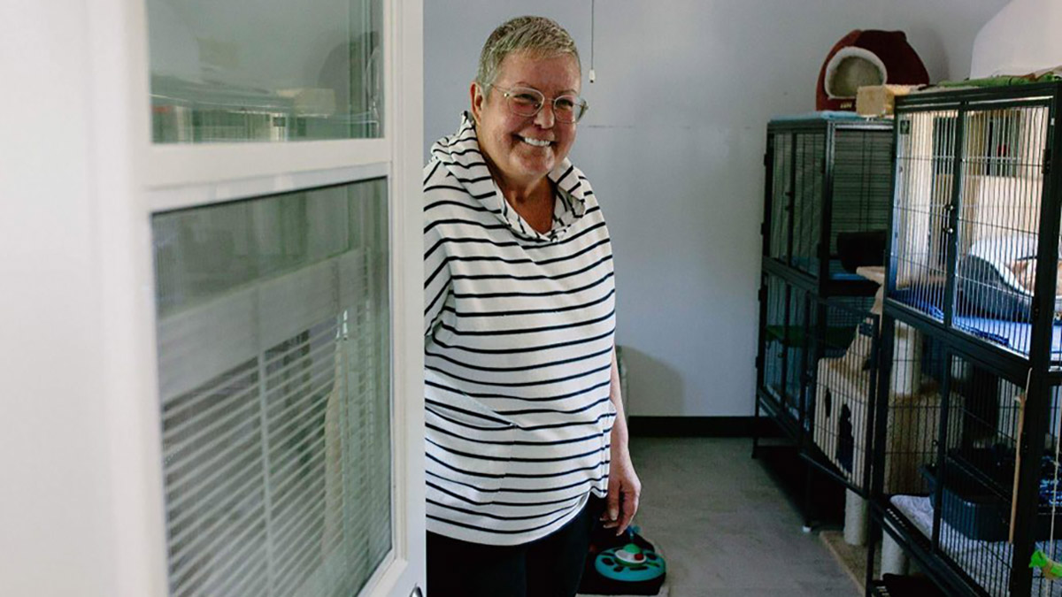 Overflowing cat rescues in ottawa struggle to find homes for stray