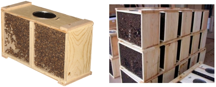 Bees… in a package or a nuc? – Capital Region Beekeepers Association